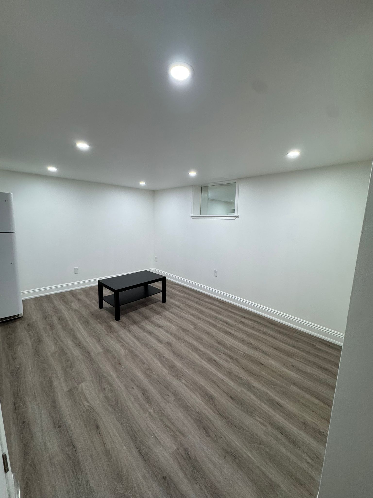 Basement Renovation project photo